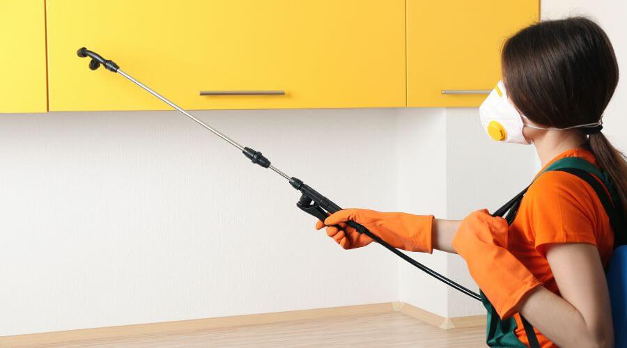 Why choose Squirrel Trapping Farmers Branch for squirrel trapping in Farmers Branch